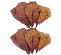 CWPFVQA Paquet De 10 Feuilles, Accessoires D'Aménagement Paysager D'Aquarium, Feuilles d'alimentation pour Poissons Et Crevettes, Décoration D'Aquarium, Accessoires D'Aquarium, Feuilles D'Aquarium