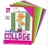 CWR Compagnie 05323 Papier de Soie 18 g/m² 50 x 70 cm, Lot de 10, Argent