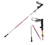CWZZWS Pole de Trekking Pliable de Pack 2pc, poteaux de randonnée à randonnée Pliables et réglables pour l'escalade en Plein air avec Serrure de Levier (5 Sections) pour Les Femmes/Filles