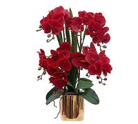 CXGS Orchidée Artificielle au Toucher réaliste dans Un Vase en céramique - Orchidée phalaenopsis Rouge réaliste - Décoration de Table - Plantes Vives pour décoration d'intérieur