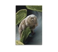 CXMAKNZ Affiches Applicable à L'animal le plus mignon du monde1 Peinture à l'huile sur toile Peinture décorative Art Poster Suspendu Peinture Maison Salon Chambre Salle à Manger Mur 30 x 45 cm Sans