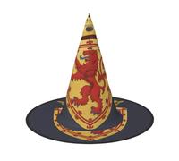 Cxzmnba Lot de 2 chapeaux de fête avec blason du lion royal sur bouclier, chapeau d'Halloween, accessoires de festival, déguisement et cosplay, taille unique