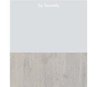 Cy Twombly by Nesin & Emily Wei Rales & Kate Nesin Emily Wei Rales Kate (Auteur)