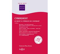 Cyberdroit: Le droit à l'épreuve de l'internet