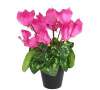 Cyclamen Artificiel en Pot - Fleur décorative - Printemps - Fleurs artificielles - Plante Artificielle - Primevère primevère Primula - Fleur de n Soie - Plante d'intérieur
