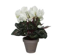 Cyclamen Artificielle Blanc En Pot H30