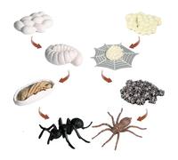 Cycle de croissance animale | Modèle de croissance des fourmis - Kit de culture d'araignées, figurines de jouets éducatifs, collection de cycle de vie | Garçons, filles et de 3 ans