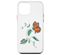 Cycle de métamorphose du Papillon monarque Coque pour iPhone 12 Mini