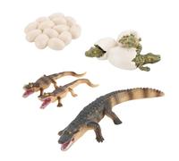 Cycle De Vie Animaux | Modèle Crocodile Décoratif - Modèle Animal Décoratif - Pour Garçons Filles Enseignants Maternelle Crèche École Salle De Classe Maison Anniversaire Instruction En Famille