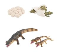 Cycle De Vie Des Animaux Figurine Crocodile Décorative