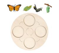 Cycle De Vie du Papillon | Plateau Puzzle Éducatif sur Le Cycle de Vie pour | Jouet Éducatif en Bois Aux Couleurs Vives pour Découverte Scientifique Et Apprentissage