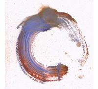 Soul Control - Cycles [Import]