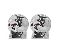 cyclingcolors 2X Bouchon de Valve Capuchon Forme tête os Skull Plastique Schrader Pneu vélo Moto Auto Voiture Quad Trottinette, Argent