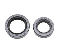 cyclingcolors 2x joint spi embiellage moto scooter mobylette compatible avec peugeot tkr trekker speedfight vivacity buxy elyseo speedake squab