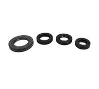 cyclingcolors 4x joint spi moteur moto scooter mobylette compatible avec peugeot tkr trekker speedfight vivacity buxy elyseo speedake squab