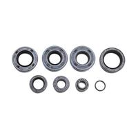 cyclingcolors 8x joint spi moteur moto scooter mobylette compatible avec minarelli am6 aprilia rs beta rr mbk rieju rr smx rs1 spike yamaha dtr tzr