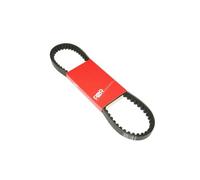 cyclingcolors courroie transmission moteur crantée moto scooter mobylette compatible avec PIAGGIO TYPHOON NRG GILERA STALKER, ICE, RUNNER/APRILIA SR/DERBI ATLANTIS, GP1 (805 x 18,7 x 8,5 x 30)