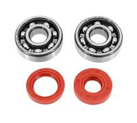 cyclingcolors joint spi + roulement embiellage moto scooter mobylette compatible avec am6 minarelli mbk xpower yamaha tzr rieju mrt beta rr 6303-2rs