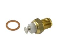 cyclingcolors Thermistance Sonde Température Compatible avec Malaguti F12 F15 Référence Origine 287887