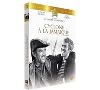 Cyclone à la Jamaïque DVD E