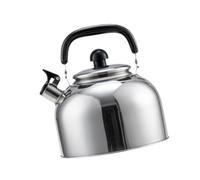 CYDZSRA Bouilloire sifflante portable en acier inoxydable, idéale pour préparer thé et café, bouteille d'eau, camping et activités de plein air, Argent, 3L