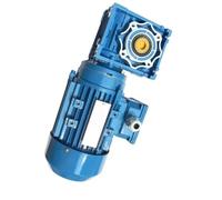 CYFANG 1 pcs 250 W AC Engrenage à vis sans fin 0,25 kW 1/3 HP Moteur à induction 220 V 380 V AC 3 phases Moteur asynchrone Moteur à engrenages à basse vitesse Réglage mécanique(35rpm)