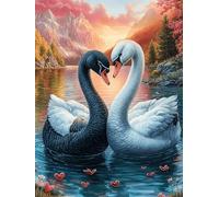Cygnes noir et blanc nageant ensemble 300 Pièces Puzzle Créatif En Carton Anti-Déchirure Haute Densité Paysages et science-fiction Difficulté Moyenne Activité Manuelle Loisir Créatif Cadeau Anniversai