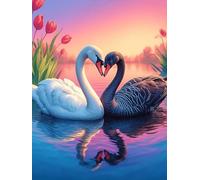 Cygnes noirs et blancs formant un cœur 300 Pieces Casse-tête Débutant En Carton Haute Qualité Animal sauvage et animal de compagnie Facile Anti-Stress Passe-Temps Loisir Créatif Idée Cadeau Saint Vale