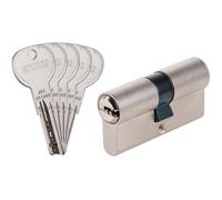 Cylindre 2 entrées ISR6 - Exem - Laiton nickelé - Varié - 50 x 40 mm