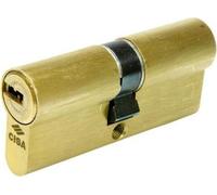 Cylindre asix 30x50 laitonné 1.0e300.17.0.0000.c5 cisa