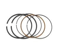 Cylindre big bore moto Kit de Piston et d'anneaux de moto + 100, alésage de cylindre 73mm ~ 74mm, adapté pour TTR250 TT250R TTR 250 1999 - 2006 Kit cylindre piston(73mm Ring)