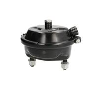 Cylindre de frein à diaphragme DT Spare Parts 4.65549