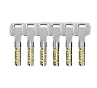 Cylindre de serrure à double embrayage, les clés peuvent être utilisées aux deux extrémités du cylindre en même temps. J'ai oublié retirer la clé(120MM,A)