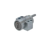 Bosch Bike Abus Powertube 750 Standard Battery Lock Argenté