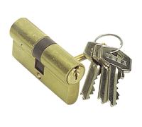 Tesa Cylindre de sécurité TE5 30x40 mm laiton poli 5 goupilles – 50303040L