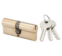 Cylindre européen double entrée 35x65mm laiton sur PTT et EDF - RONIS - 120751