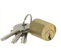 Cylindre extérieur vertical laiton poli 40 mm ISEO 56310401.5