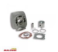 Cylindre Malossi Pour Mobylette Peugeot 50 103 Ml Avant 2020 Neuf