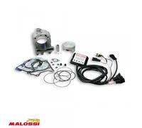 Cylindre Malossi Pour Scooter Piaggio 125 X7 Neuf