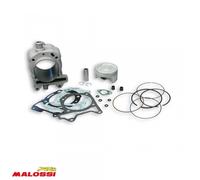 Cylindre Malossi Pour Scooter Piaggio 125 X9 2017 3113955 Neuf