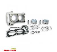 Cylindre Malossi Pour Scooter Yamaha 500 Tmax 2008 À 2011 3113666 / 560cc Neuf