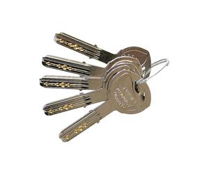 Cylindre modèle T70 varié