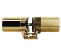 Cylindre monobloc 787Z pour Modul/Palier/Vertis/P101 A2P* - FICHET - 75025620-Z