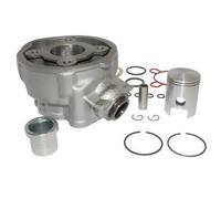CYLINDRE MOTO 50 CC POUR AM6 MINARELLI DEPUIS 2000-MBK 50 X-POWER- X-LIMIT-YAMAHA 50 TZR- DTR-PEUGEOT 50 XPS-RIEJU 50 RS1-BETA 50