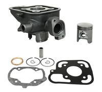 Cylindre P2r Pour Scooter Peugeot 50 Ludix Snake Furious 2007 À 2009 Neuf