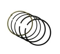 Cylindre Pour XG250 Pour TRICKER 2004-2017 2005-2010 2011 2012 2013 2014 2015 2016 Jeu Segments De Piston D'alésage STD Piston Tronçonneuse