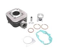 Cylindre Scoot Adaptable Peugeot 50 Ludix One-Trend-Snake-Classic, Vivacity 2t 2008, Kisbee 2t 2