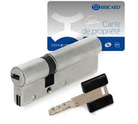 Cylindre serrure européen double entrée 70 x 30 mm debrayable 4 clés Dual XP A2P 1 BRICARD