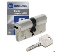 Cylindre serrure porte européen 30 x 30 mm 4 clés Serial S BRICARD A2P 1