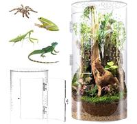Cylindrical Terrarium, 360° Transparent Vivarium - Acrylic Phasm Terrarium, Breeding Box for Reptiles, Spider, Snails, L